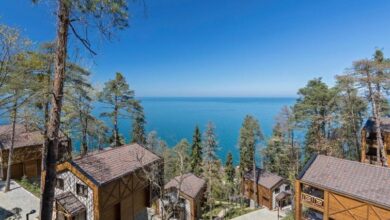 hancioglu-camburnu-orman-evleri_5